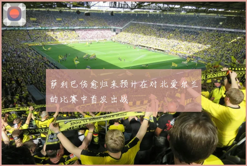 萨利巴伤愈归来预计在对北爱尔兰的比赛中首发出战